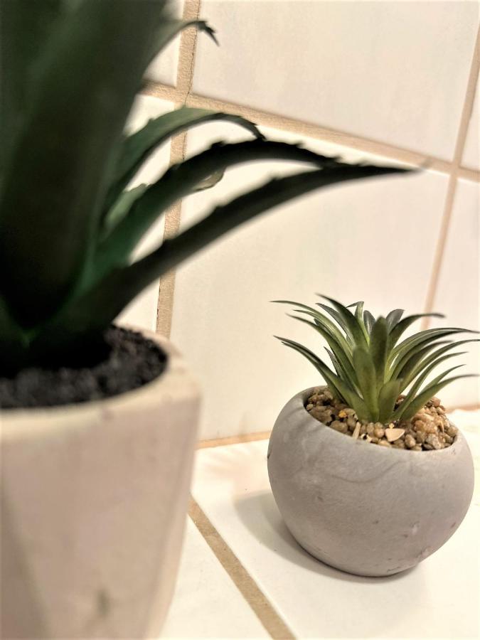Cozy Apartment In Bavarian Forest +Pool +Sauna +Netflix Zwiesel Esterno foto